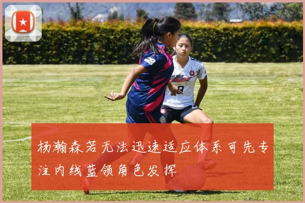 杨瀚森若无法迅速适应体系可先专注内线蓝领角色发挥