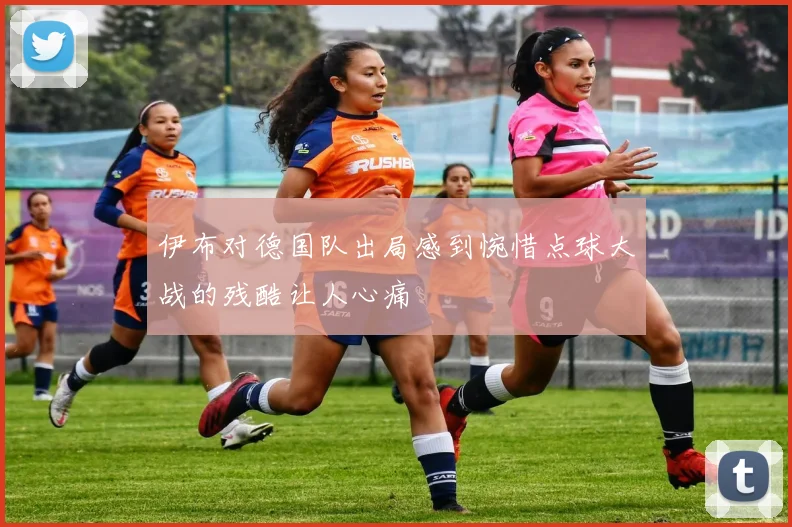 伊布对德国队出局感到惋惜点球大战的残酷让人心痛